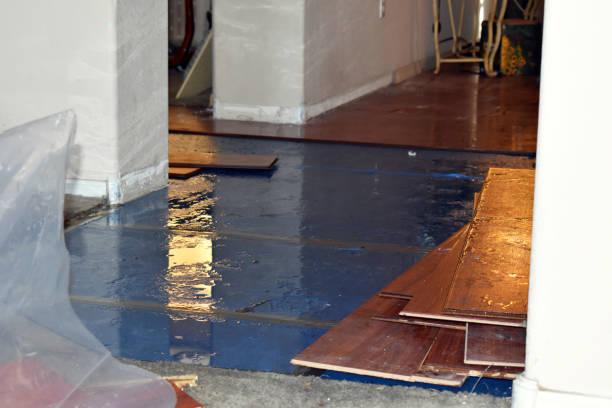 Professional Water Extraction technician working in Garrison, TX